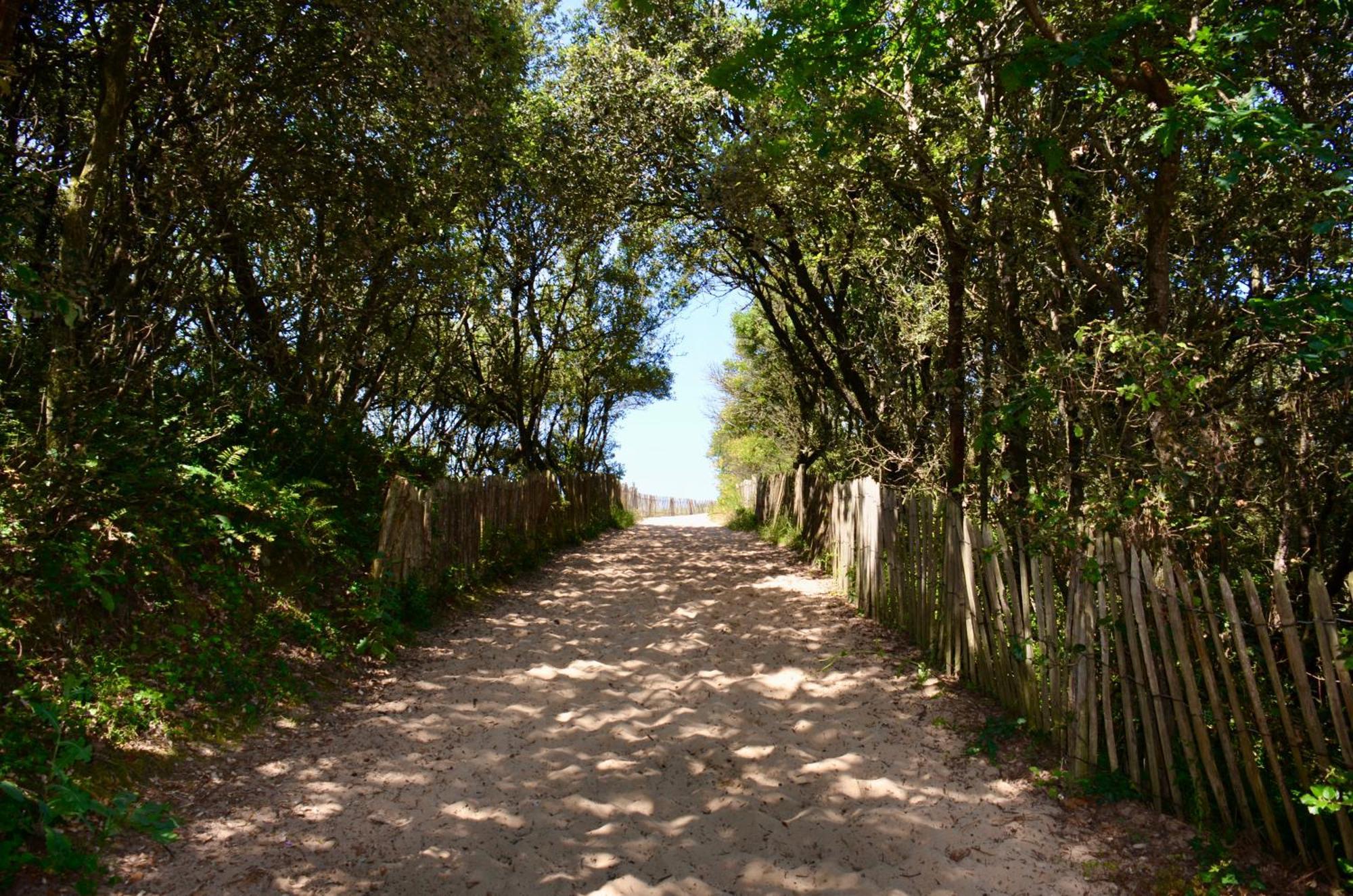 Camping Le Clos Des Pins Longeville-sur-Mer Exterior foto